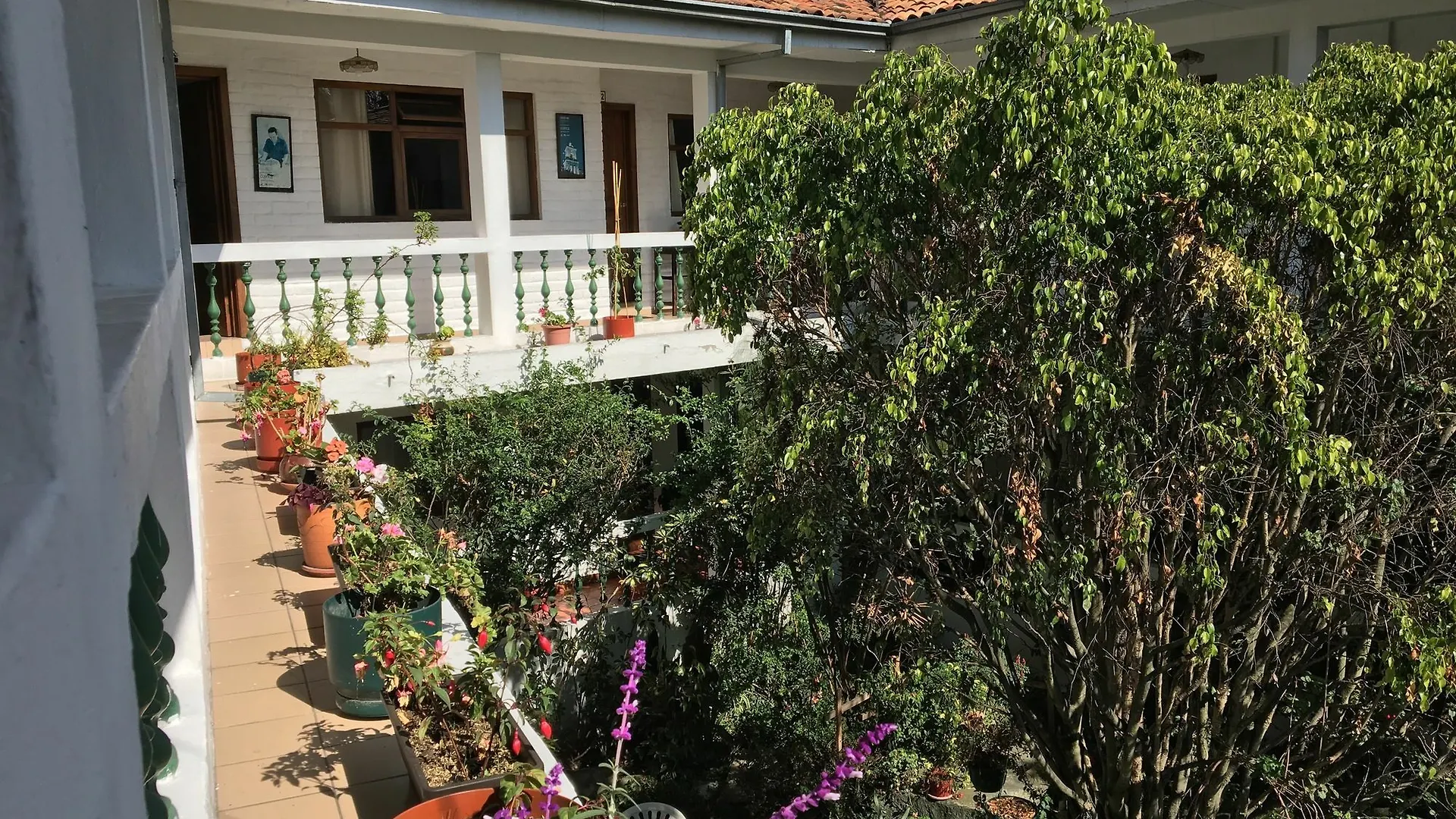 Apartamentos Otorongo Cuenca Ecuador Lägenhetshotell