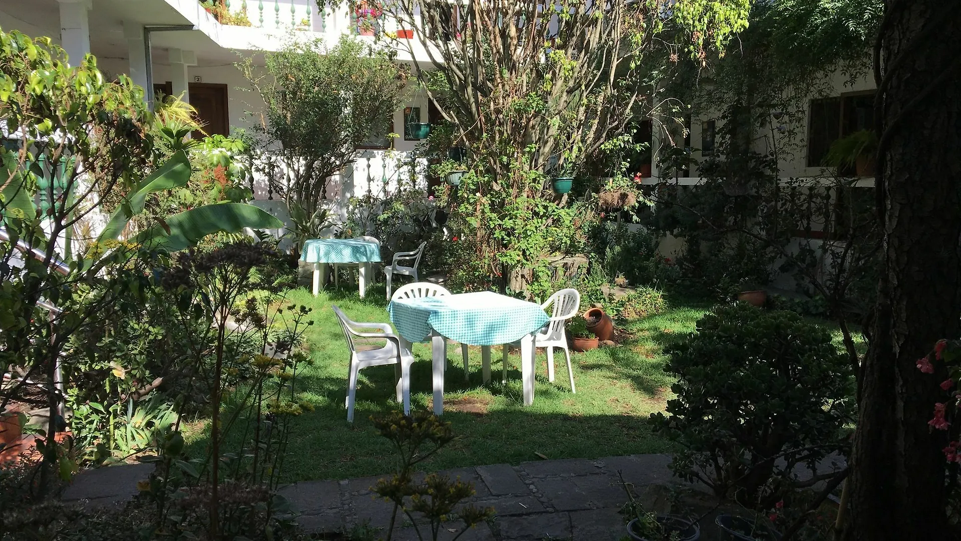 Apartamentos Otorongo Cuenca Ecuador エクアドル