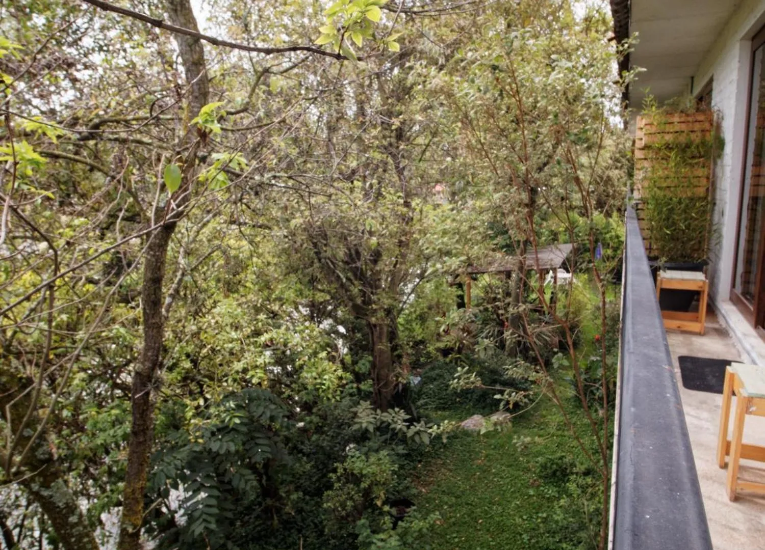 Apartamentos Otorongo Cuenca Ecuador Ecuador