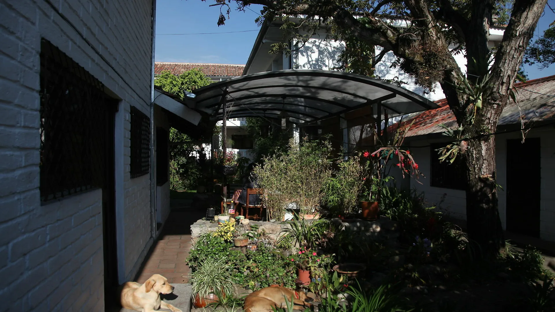 Apartamentos Otorongo Cuenca Ecuador