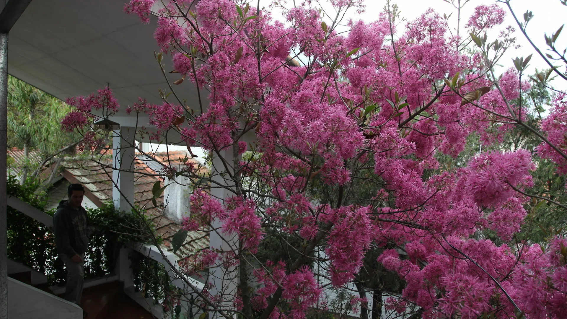 Apartamentos Otorongo Cuenca Ecuador